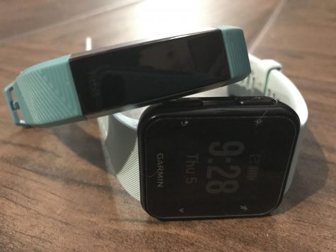 Fitbit vs Garmin